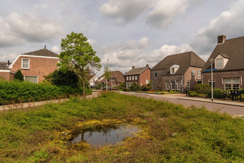 Groene buurt (natuurladder)