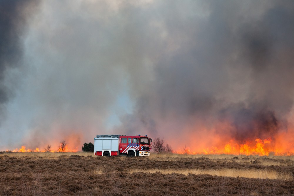 Natuurbrand met wagen