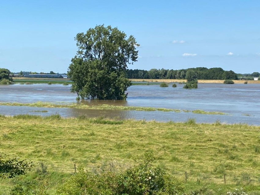 Hoogwater juli 2021 Maas