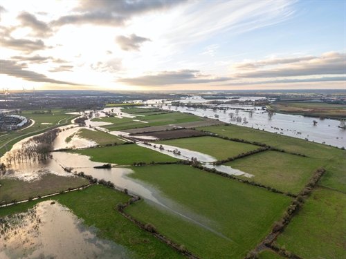 hoogwater_maas_bij_empel_2024