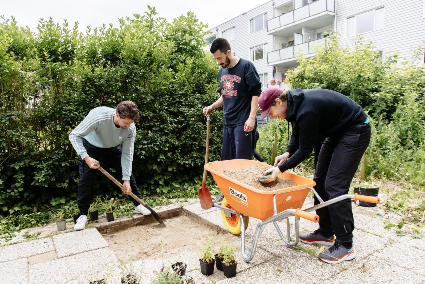 Tuin vergroenen