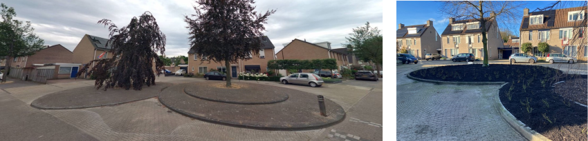 Plantenbak voor en na