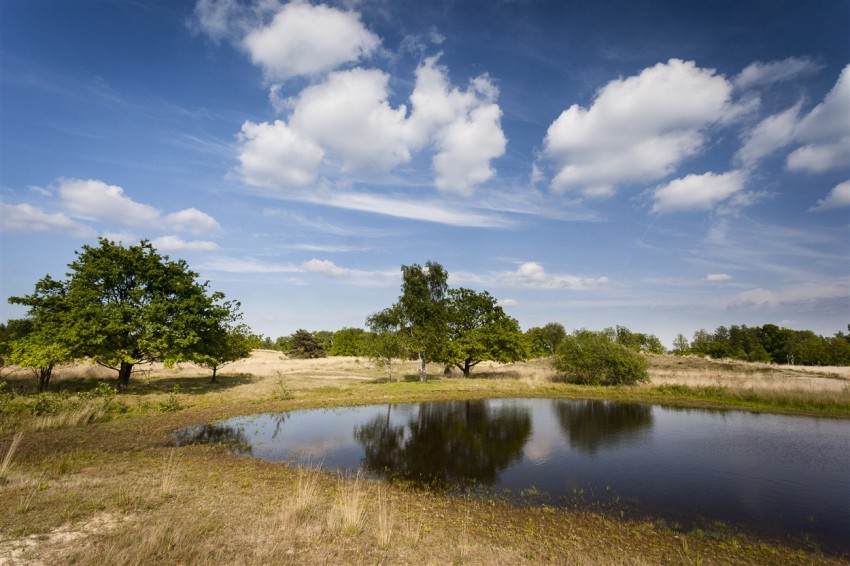 Droogte De Plateaux