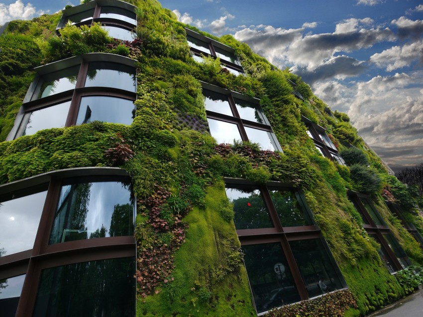 nature based solutions